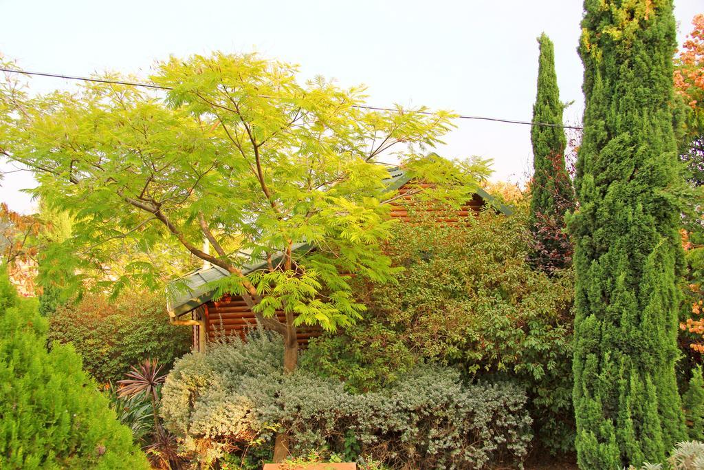 Villa Rosh Pinat Noy Exterior foto